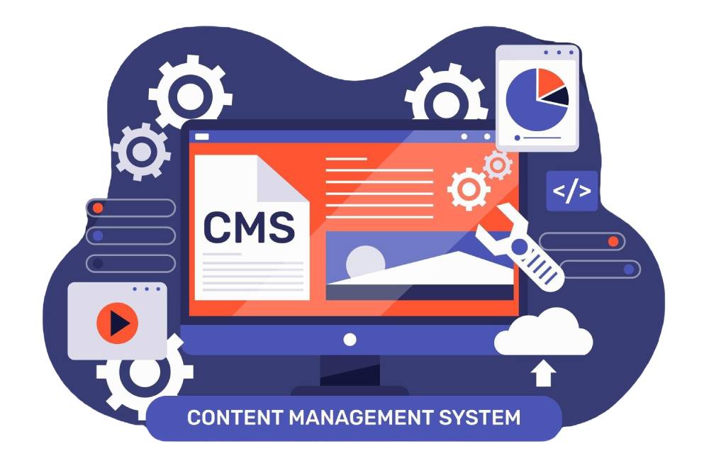 WordPress-Solution-2